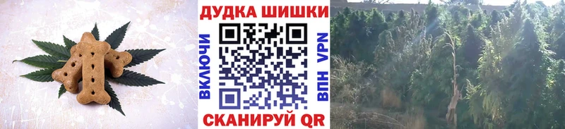 как найти закладки  Нахабино  shop как зайти  Canna-Cookies конопля 
